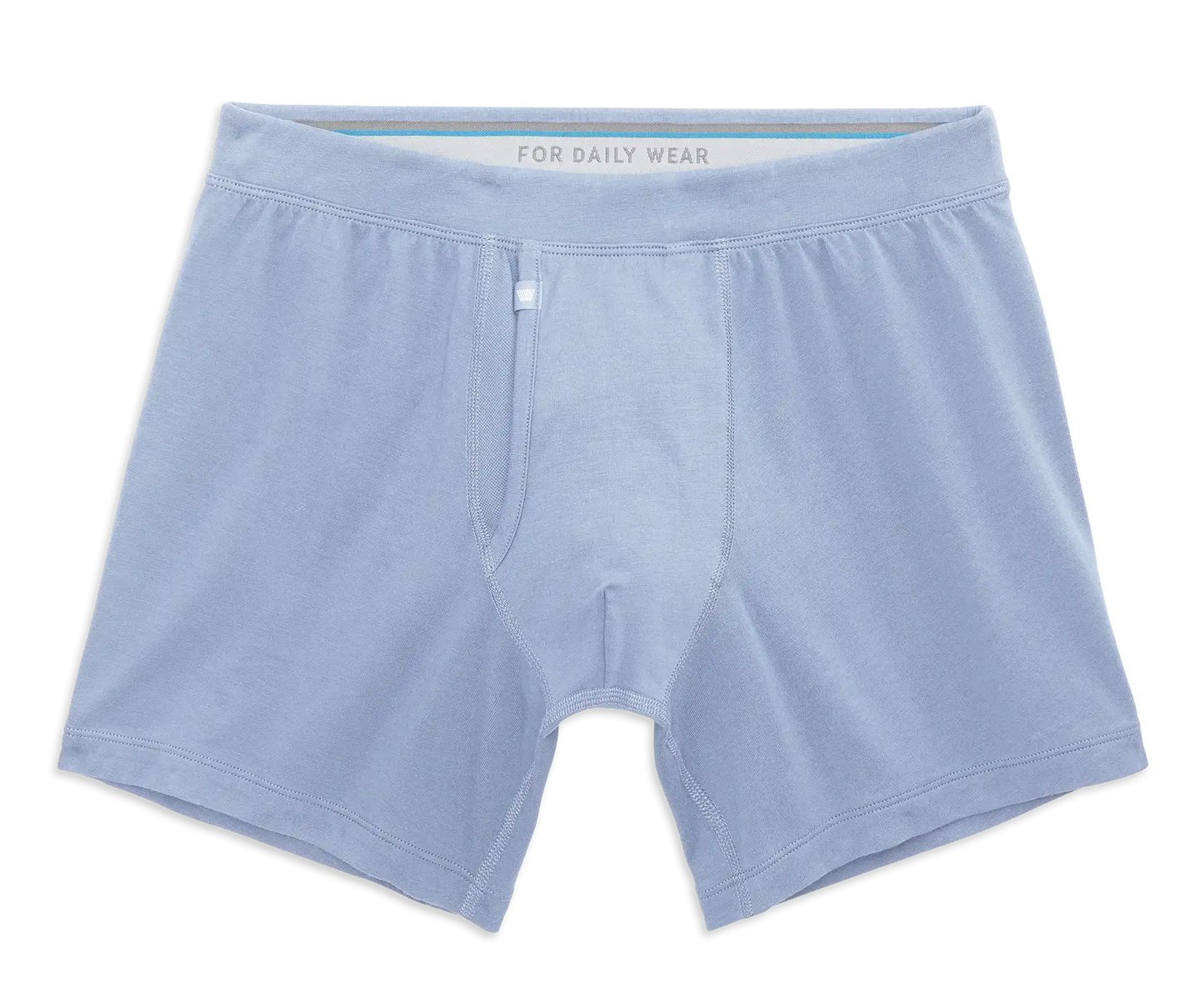 SILVER Boxer Brief