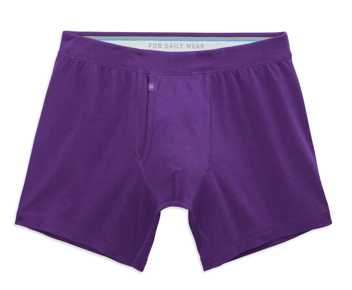 SILVER Boxer Brief