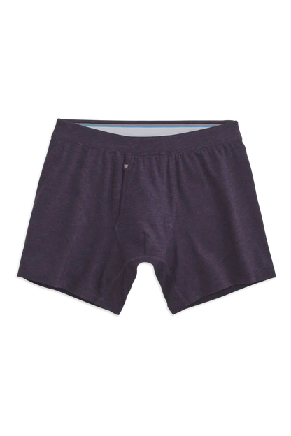 SILVER Boxer Brief