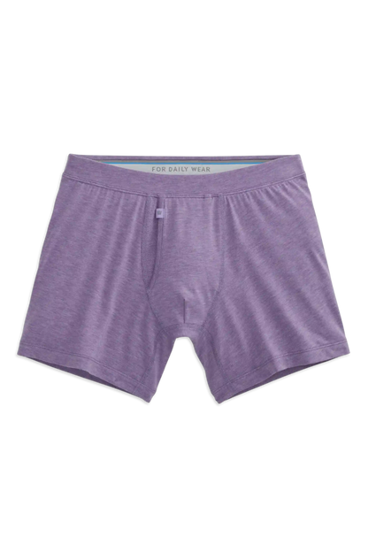SILVER Boxer Brief