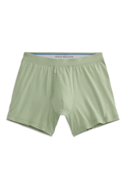 SILVER Boxer Brief