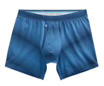 SILVER Boxer Brief