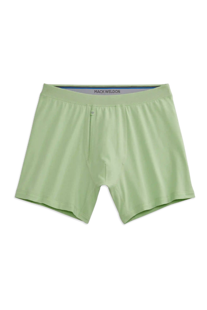 SILVER Boxer Brief