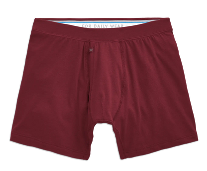 SILVER Boxer Brief